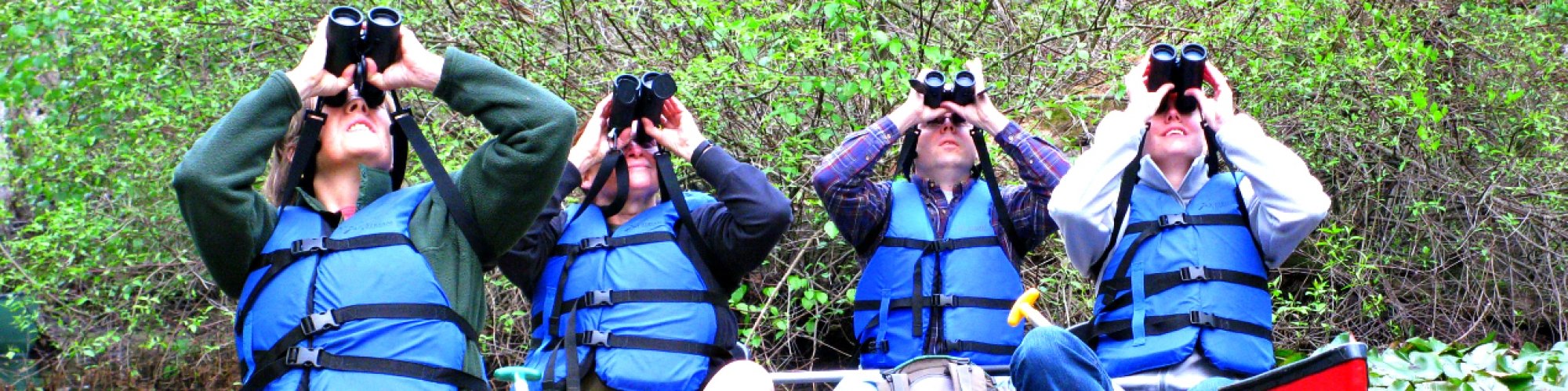 Birding Hero Image