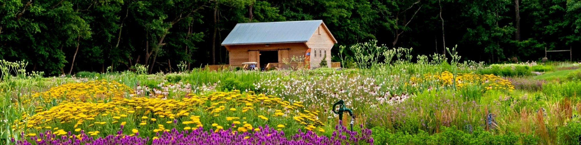 Delaware Botanic Gardens Hero Image