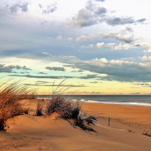 Fenwick Island