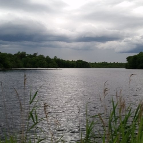 Ellendale