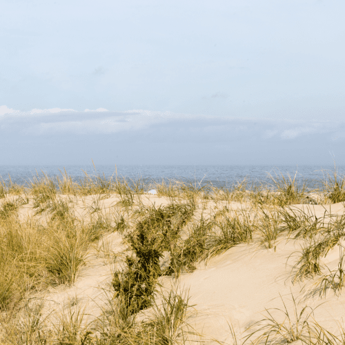 Henlopen Acres