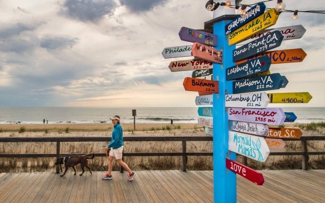 Things to Do in Bethany Beach Hero Image