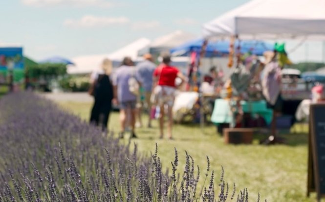 Things to Do in Millsboro Hero Image