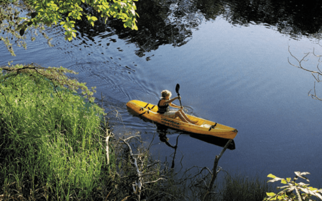 Things to Do in Henlopen Acres Hero Image