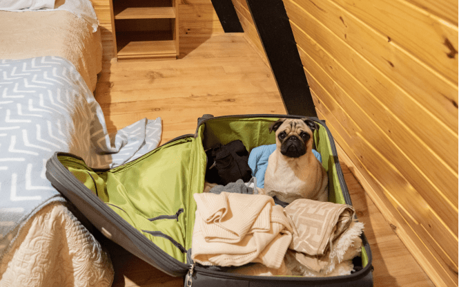 Places to Stay in Henlopen Acres Hero Image