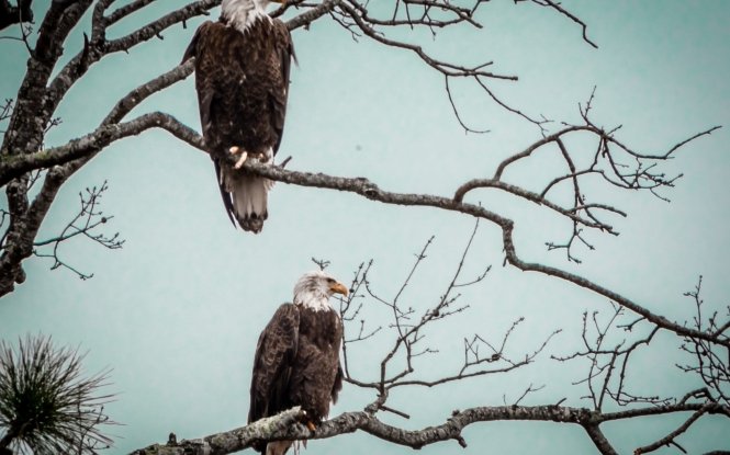 Visit Long Neck, Delaware Hero Image