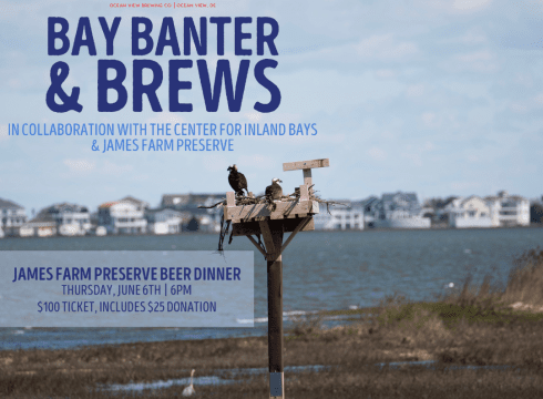 Big Oyster Dine & Donate for the Inland Bays