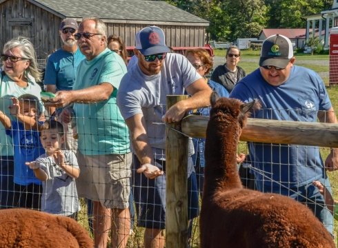 Fall Alpaca Farm Tours