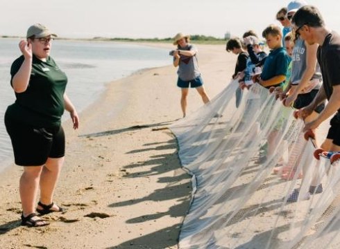 Seining the Bay at Holts Landing