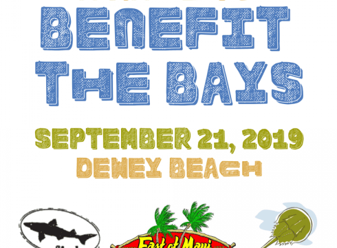 Race to Benefit the Bays