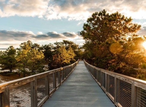 Nature Art in the Park: Observing and Drawing Nature