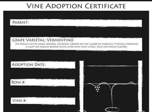 Adopt-A-Vines Parents Weekend
