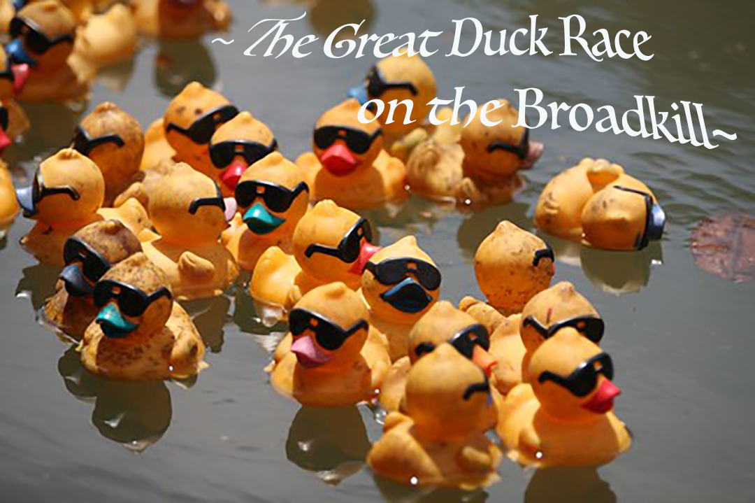 Ducks still available ahead of 35th Annual Duck Race
