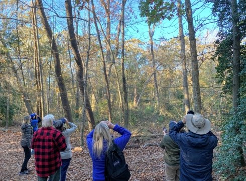 Birding in the Inland Bays