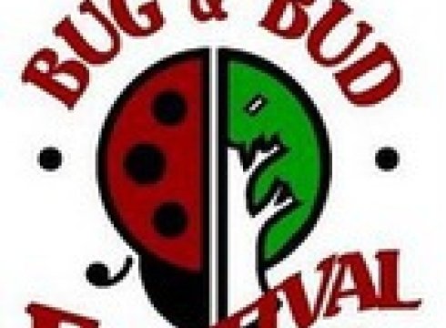 Bug and Bud Festival