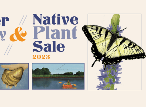 Water Family Fest & Native Plant Sale