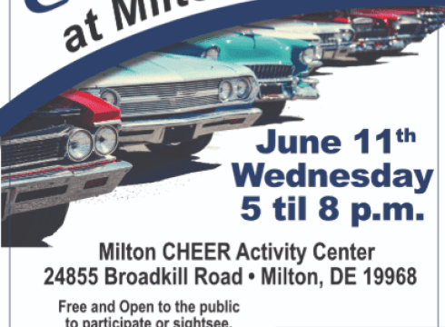 CRUISE-IN
