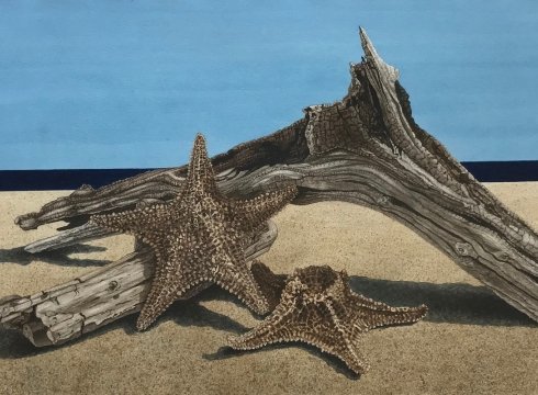 “Delmarva and Beyond” Art Exhibition