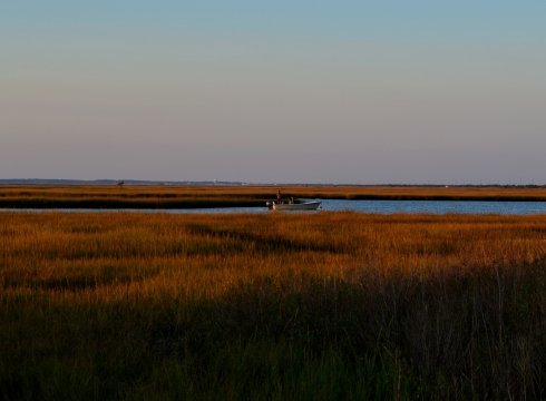 Marsh Exploration