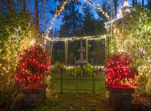 Holiday Wine and Lights Tour