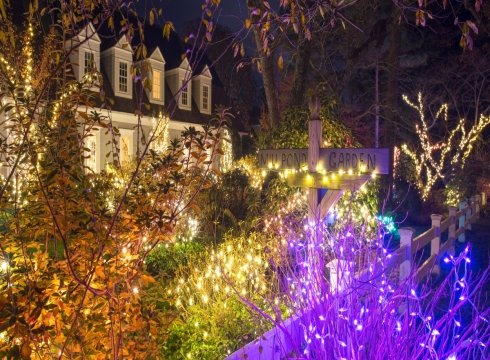 Garden of Lights