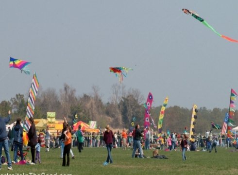 50th Great Delaware Kite Festival