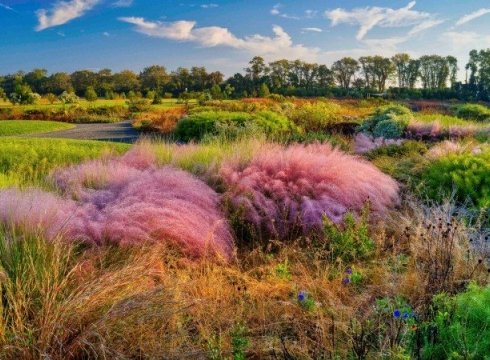 Veterans Day Celebration