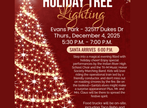 Town of Millville Tree Lighting