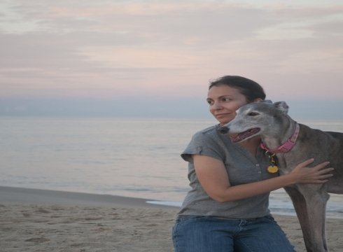 Greyhounds Reach the Beach