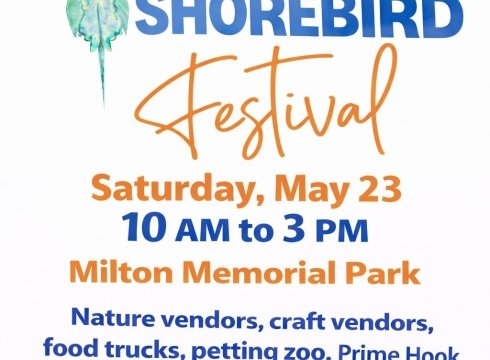 Horseshoe Crab and Shorebird Festival