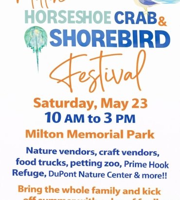 Horseshoe Crab and Shorebird Festival