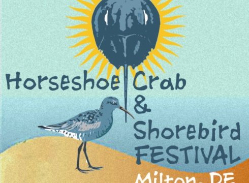 2021 Horseshoe Crab & Shorebird Festival