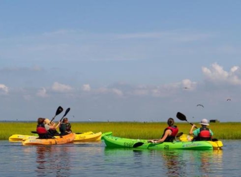 Intro to Kayaking: AM