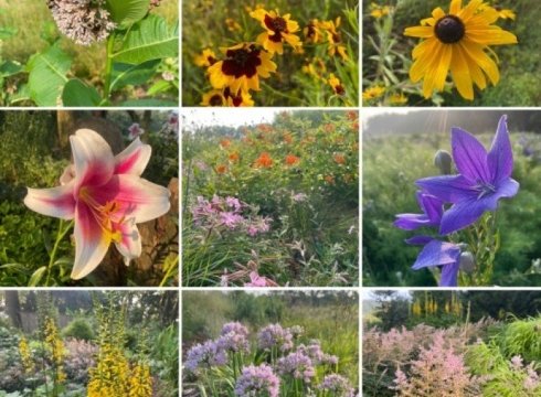 Meadow Tour