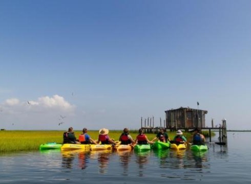 Kayak Eco-Tour: Paddling Station Cove - AM