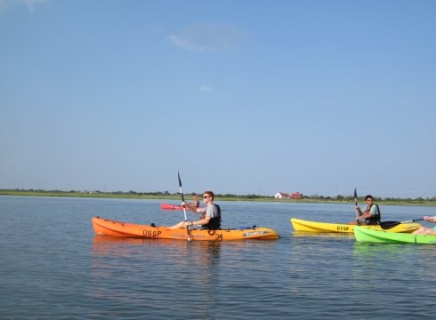 Kayak Eco-Tour: Paddling Station Cove - AM
