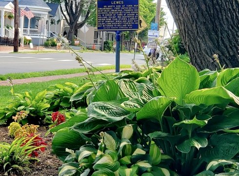 2022 Lewes Garden Tour