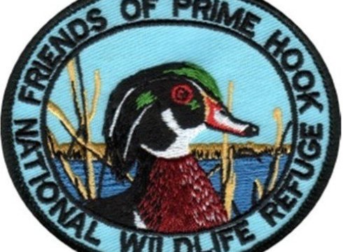 Bring the Kids to Prime Hook