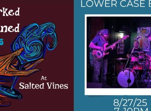 Lower Case Blues Concert at Salted Vines