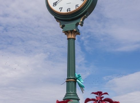 Milton Garden Tour