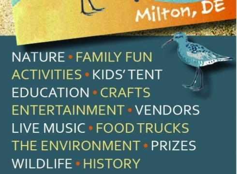 Milton Horseshoe Crab and Shorebird Festival
