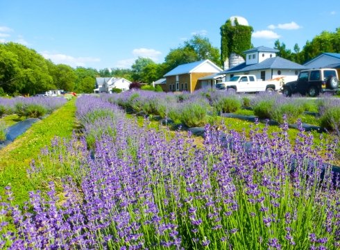Cape Farm and Garden Tour 2021