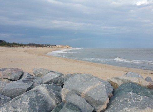Beach Nature Program: Weathering the Storm
