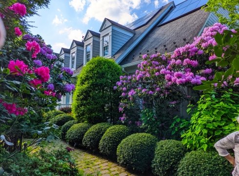 Open Garden Day