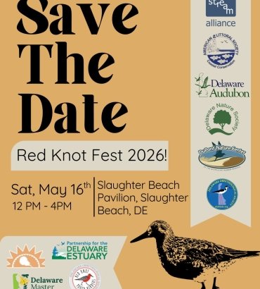 Red Knot Fest 2026