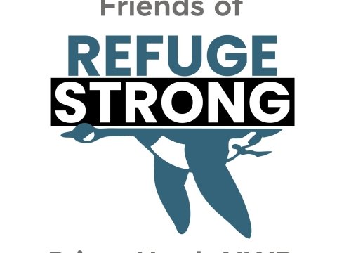 Friends of Prime Hook Guided Bird Walk