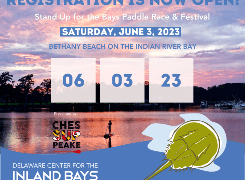 Stand Up for the Bays Paddle Race & Fest
