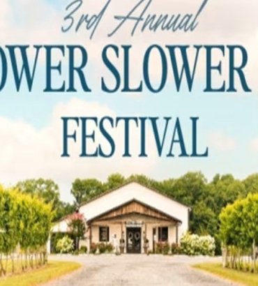 Slower Lower DE Festival