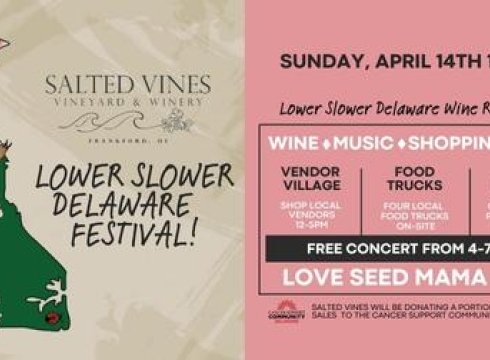 1st Annual Lower Slower Delaware Festival