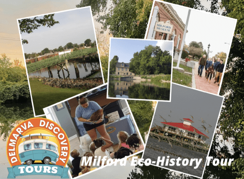 History/Eco-Tour along the Mispillion River